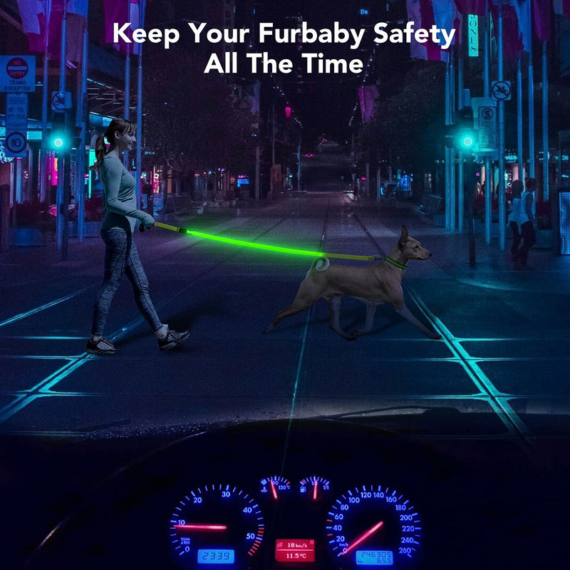 Colaseeme LED Dog Leash Light Up Dog Leash 4 Feet Micro USB Rechargeable Nylon Webbing Glow Safety Standard Dog Leash for Dogs (Green) Green - BeesActive Australia