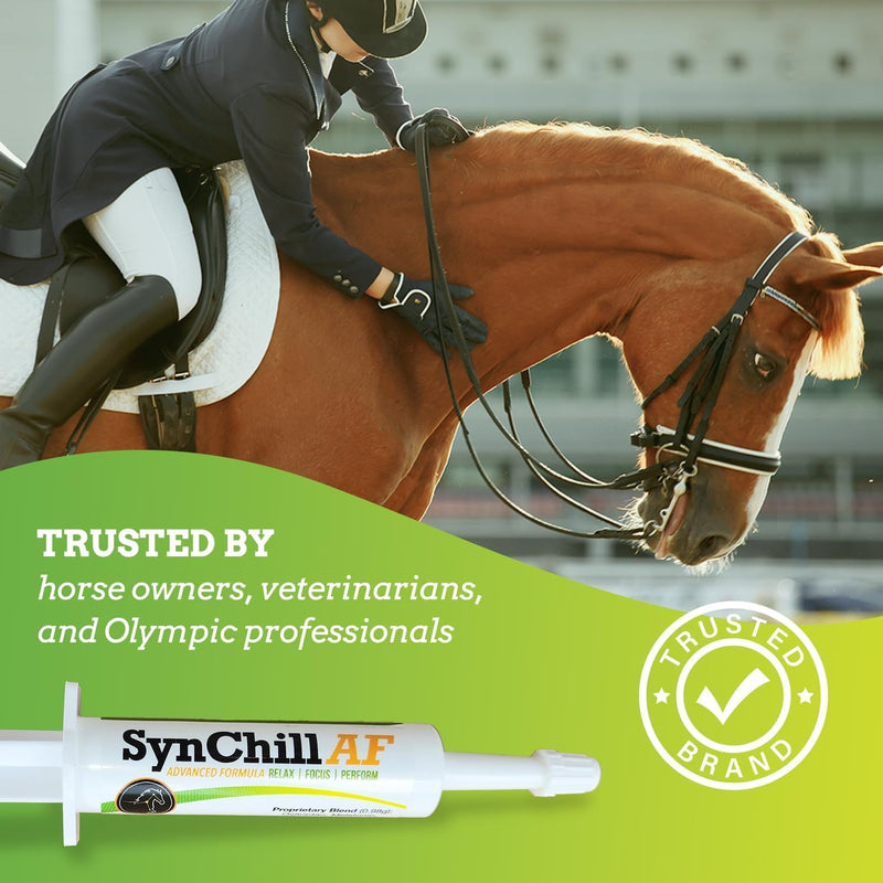 SynChill AF Calming Gel for Nervous Horses - Single Serving - Advanced Formula with L-Theanine, Increased Potency, 100% Natural Supplement, Disposition & Confidence Support for Horses - 3 Pack - BeesActive Australia