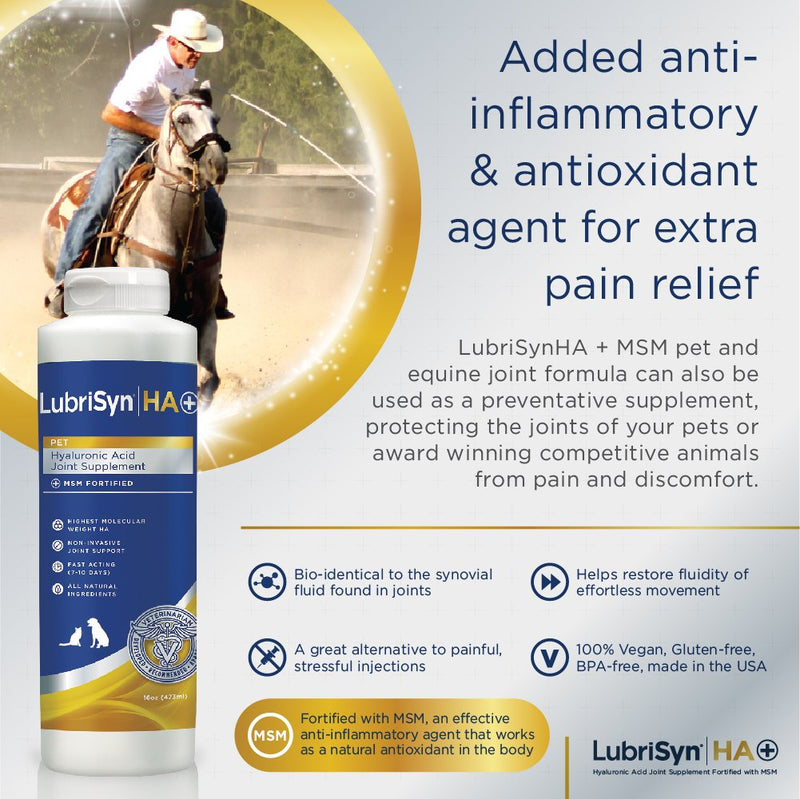 LubriSyn Hyaluronic Acid + MSM Joints Supplement, 16oz: Natural Pure HA Liquid Dog and Cat Joint & Cartilage Support, Relief, and Lubrication for Pets Including Dogs, Cats and Horses, Vegan Formula - BeesActive Australia