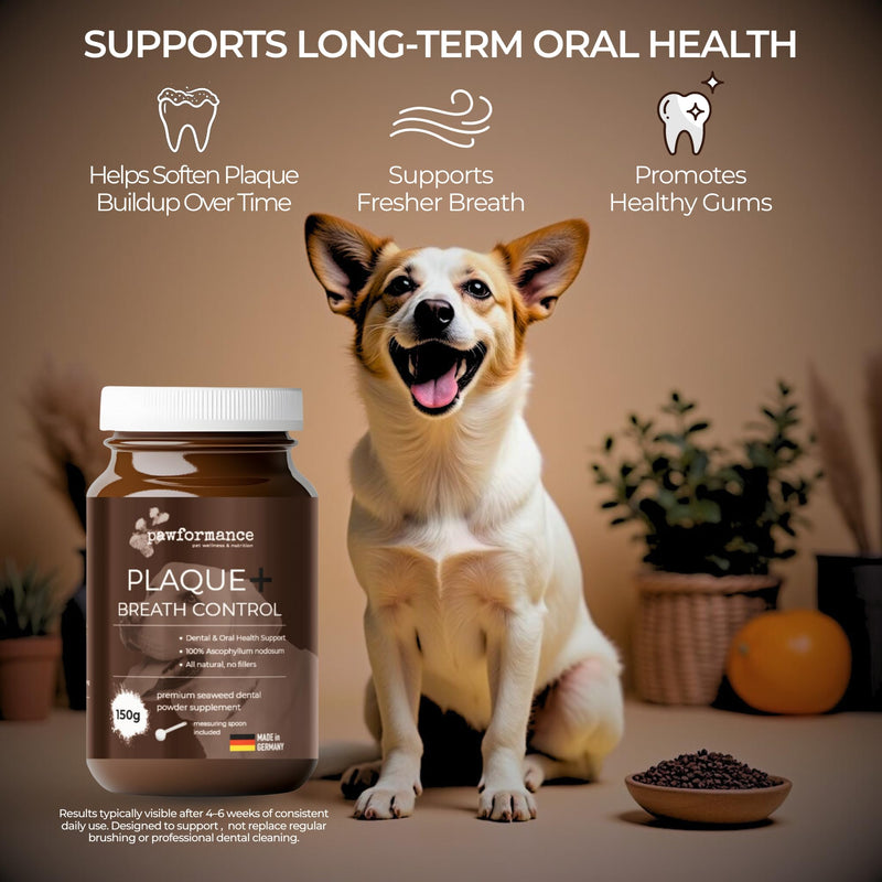 Dog Dental Powder for Plaque & Tartar | Made in Germany | 100% Natural Seaweed (Ascophyllum Nodosum) | Fresh Breath & Gum Support | No Brushing Required | 150g Pawformance