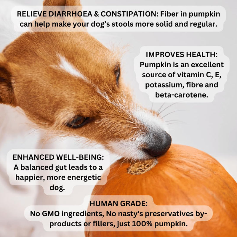 Pumpkin powder for dogs (200g) - Dog food topper and puree
