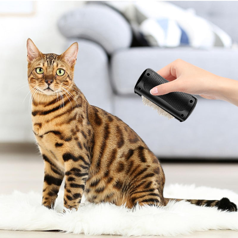 Groomify Pet Care Brush, Fellwunder Brush Dog, Groomify Brush Dog, Paw Star Brush, Paw Moon Brush, Mr Waggy Tails Deshedding Brush, Grooming Combs for Cats and Dogs - BeesActive Australia