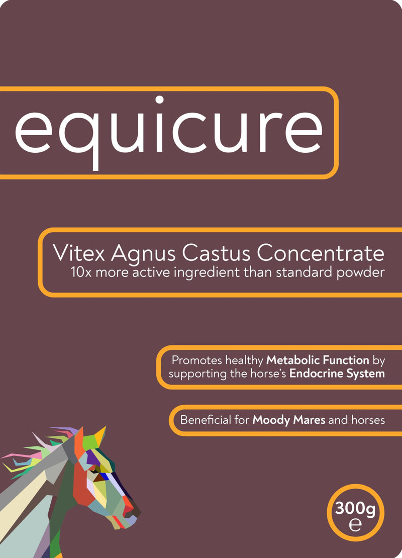 Vitex Agnus Castus 10x Concentrate - For Horse/Pony (300g Refill) 300g Refill