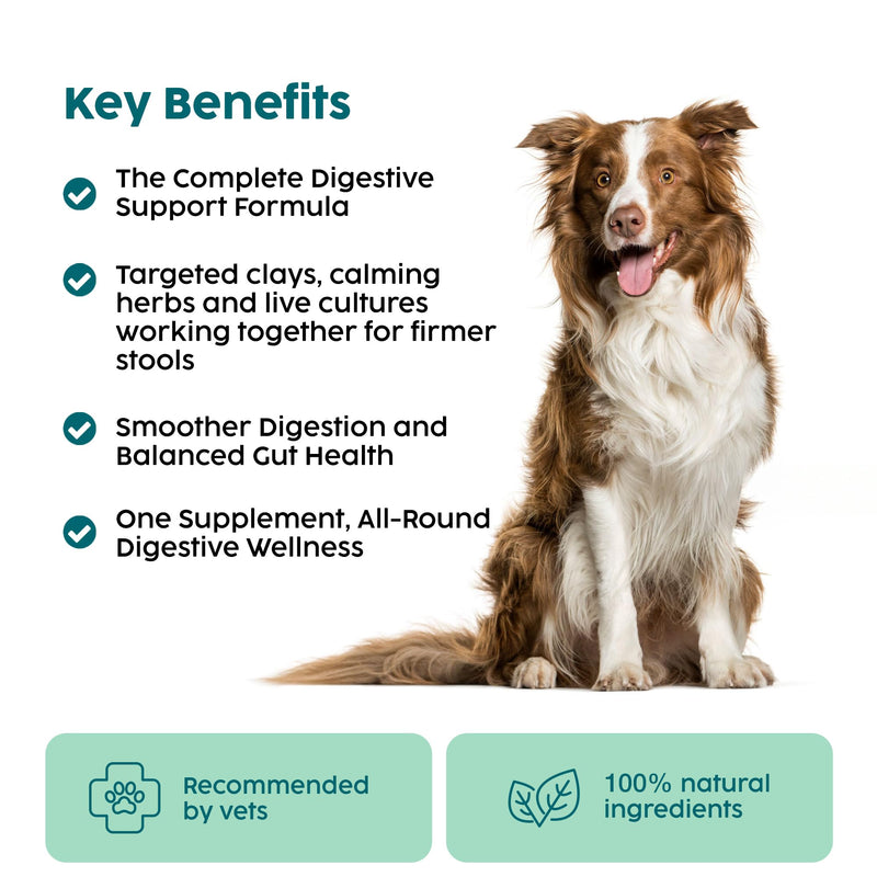 Slippery Elm for Dogs & Tree Barks - 100g Powder with Probiotics for Dogs and Cats, Marshmallow Root for Gut Health, Digestion, Dog Acid Reflux Treatment, Bloat Relief & Upset Tummy & Diarrhea