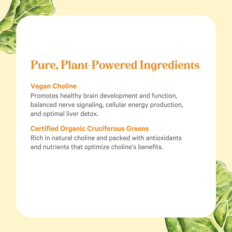 PURE SYNERGY Choline Complex Vegan Choline Supplement (60 Tablets) | Made with Organic Whole Foods, Non-GMO, Bioavailable Complex, For Pregnancy, Brain, & Liver Health