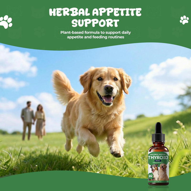 Thyroid Support for Dogs, Herbal Appetite Stimulant & Metabolism Support Drops with Bladderwrack, Astragalus & Nettle Leaf, Helps Maintain Healthy Weight, Energy & Daily Vitality, 2 fl oz