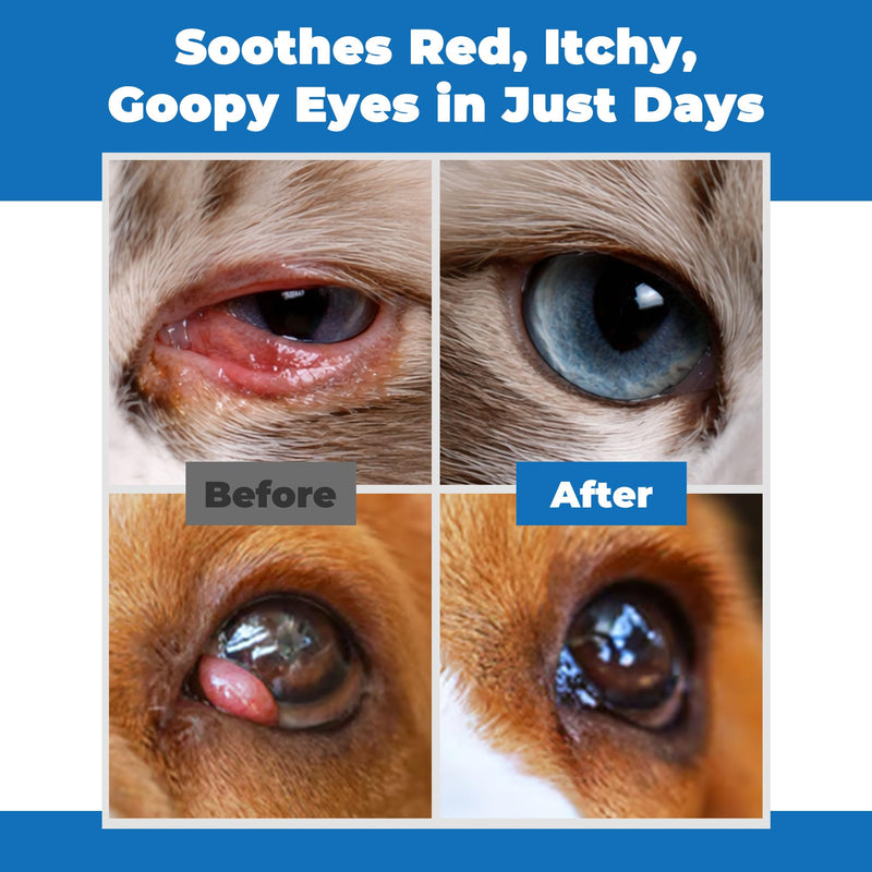 Pet Eye Care Cream for Cats, Dogs, Horses & Birds | Helps Clean Around Eyes, Supports Comfort & Moisture | Double Pack (2 x 3.5 g)