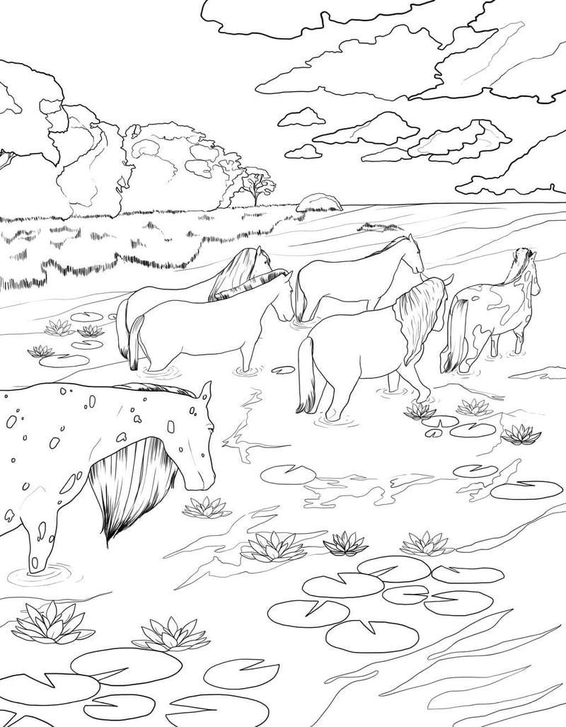 Horse Coloring Book: For Kids Ages 9-12 (Young Dreamers Coloring Books) - BeesActive Australia