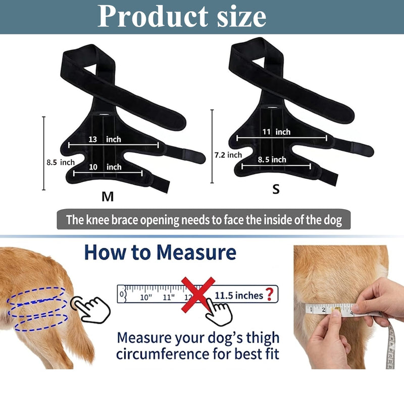 Dog Knee Brace for Torn Acl and Ccl Injuries, Adjustable Dog Acl Brace Hind Leg Support with Metal Stabilizers, Knee Brace for Dogs Back Leg Helps with Joint Pain, Surgery Recovery (M) M
