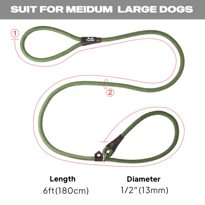 TwoEar Dog Leash Dog Slip Rope Leash 1/2" x 6FT Dog Training Leash Heavy Duty Strong Slip Lead Highly Reflective Threads for Small Medium and Large Dogs(Green) Large(1/2''x6ft) Green - BeesActive Australia