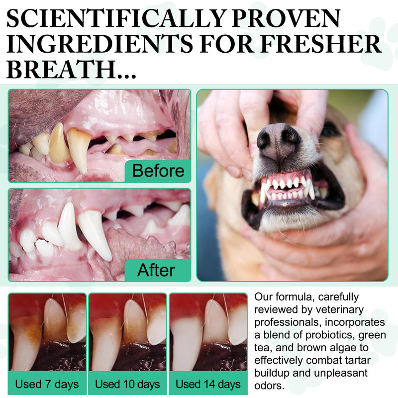 Dog Dental Powder,Pet Dental Powder,Teeth Cleaning Powder for Dogs,Dental Powder for Dogs,Plaque & Bad Breath Off Powder Dog, Dental Care Supplies for Small, Medium, Large Dogs 100g 3.52 Ounce (Pack of 1) - PawsPlanet Australia