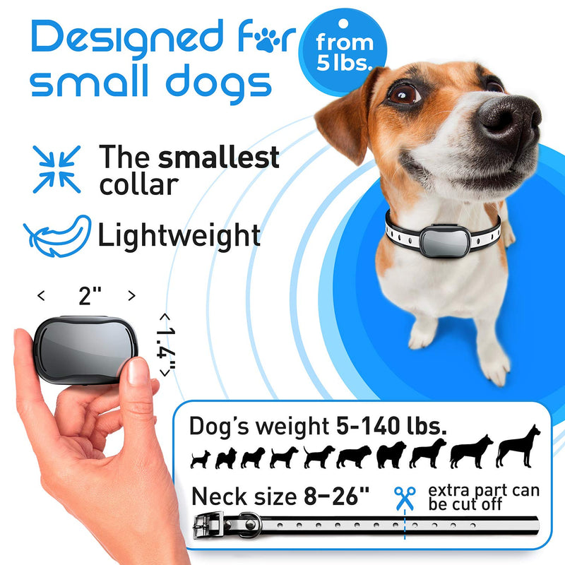 Extra Small Size Dog and Puppy Training Collar with Remote for Small Dogs 5-15lbs and Puppies with Shock - Waterproof and 1000 Ft Range - BeesActive Australia
