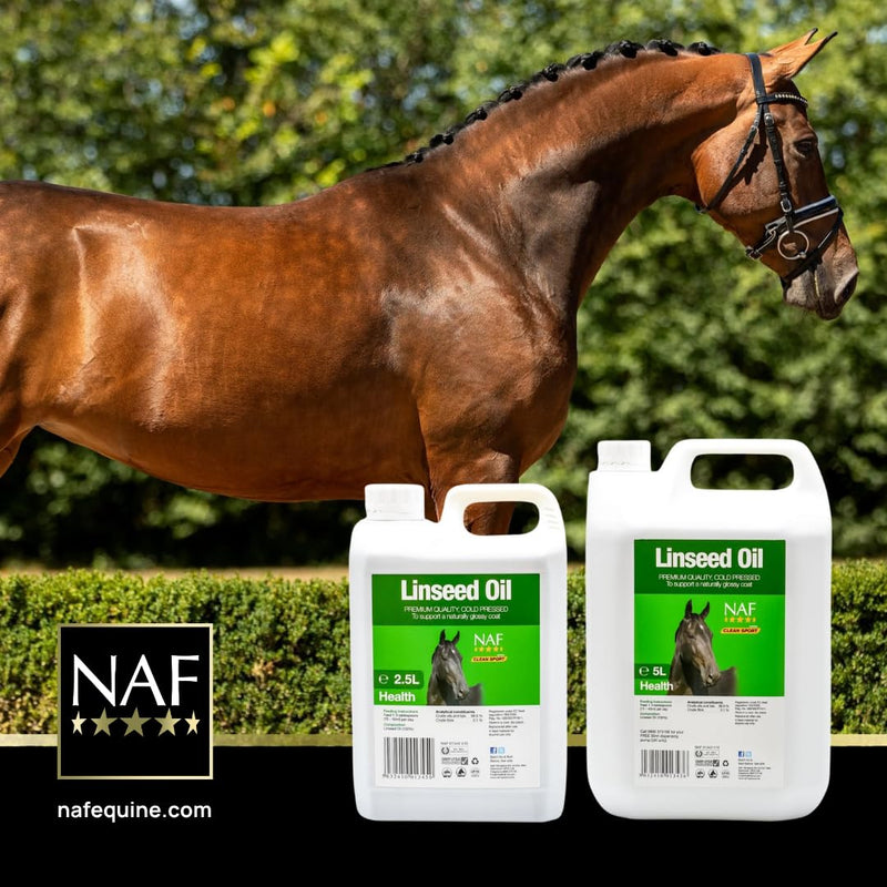 NAF Linseed Oil for Horses 1L – Cold-Pressed Omega 3 Supplement – Supports Skin, Coat Shine, Condition & Energy – Natural Source of Fatty Acids for Daily Feeding