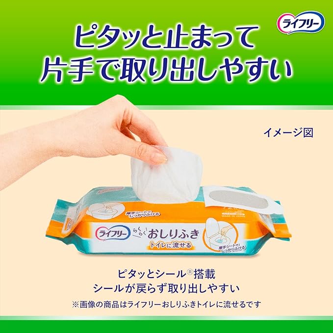 Lifeley Adult Wipes, Flushable in the Toilet, 864 Sheets (72 Sheets x 12) [Case Item] -  Australia