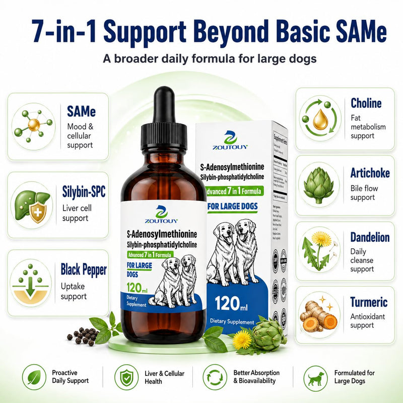 Same for Dogs Liquid Drops with Silybin, Milk Thistle, Choline, Artichoke, Dandelion & Curcumin, Dog Liver Support Supplement, Positive Mood & Daily Wellness Formula,Same for Dogs Liquid (120ml) 120ml