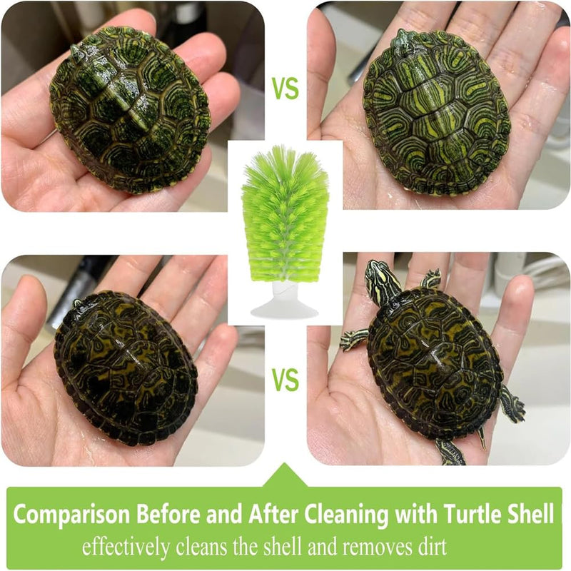 Turtle Brush with Suction Cup for Tank Scratches Back Brush Shell Cleaning Brush Scrub Red Eared Slider Turtle Exfoliate Brush for Remove Turtle Shell Scutes (Grey) Gray - BeesActive Australia
