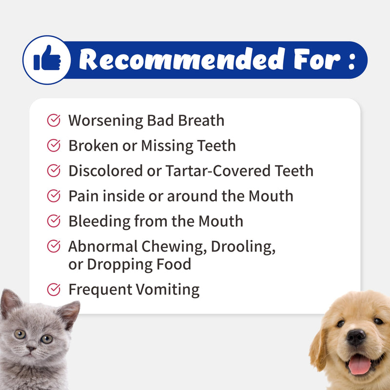 Dental-Tummy Toothpaste & Dental Rinse for Cats and Dogs (110ml) with Patented 2-Strain Probiotic, 5 Enzymes, Organic Fucoidan, Vitamin U, Mastic Gum
