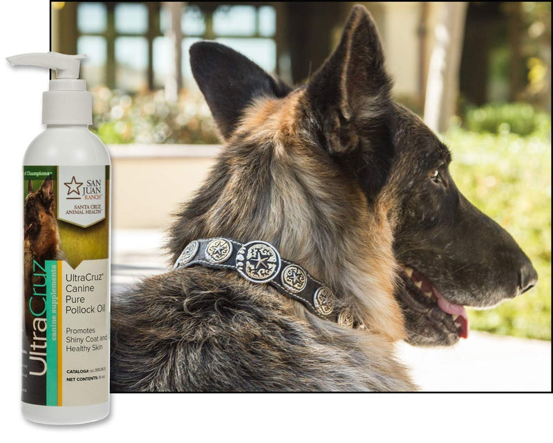 UltraCruz - sc-395363 Canine Pure Pollock Oil Supplement for Dogs, 8 oz - PawsPlanet Australia