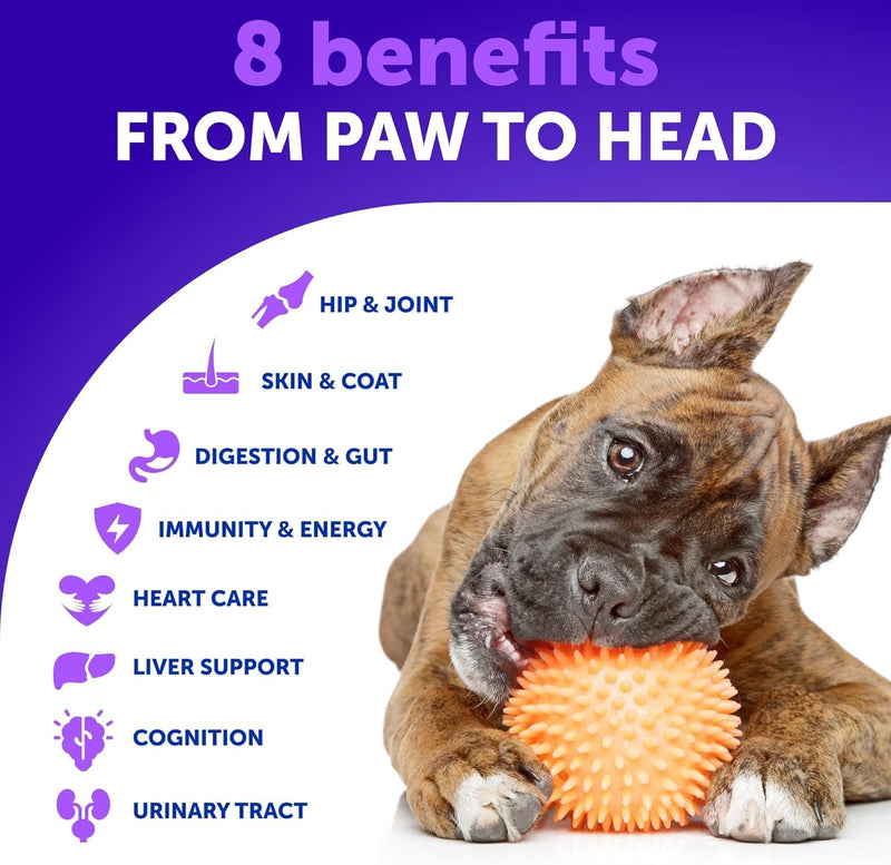 26 in 1 Dog Multivitamin with Glucosamine - Chewable Dog Vitamins and Supplements - Senior & Puppy Multivitamin Chews for Pet Hip & Joint Support, Immunity, Mobility, Skin, Digestion - 70 Soft Treats Multivitamin Chews - 70 Count