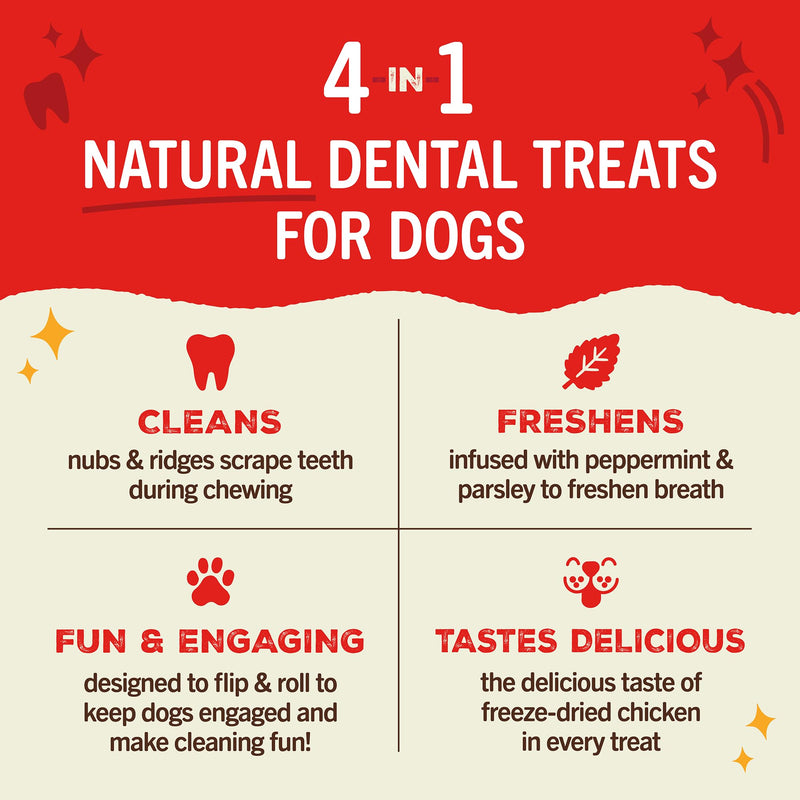 Stella & Chewy's Dental Delights with Freeze-Dried Chicken - Medium Dental Treats for Dogs, 5.5 Ounce Bag Chicken (Medium Treat) 5.5 Ounce (Pack of 1) - PawsPlanet Australia