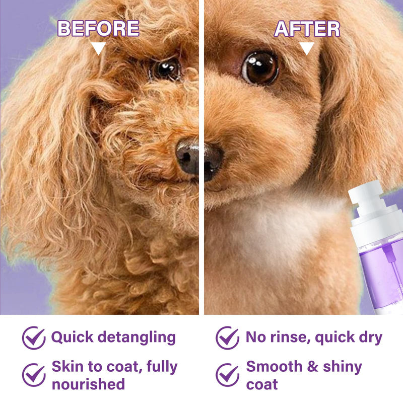 Pet Detangler Spray - Leave in Conditioner for Dogs & Cats -Tangle Remover Perfect for Doodles Shines Reduces Shedding Moisturizing with Coconut Oil, Jojoba Oil Lavender Scent 3.38fl - BeesActive Australia