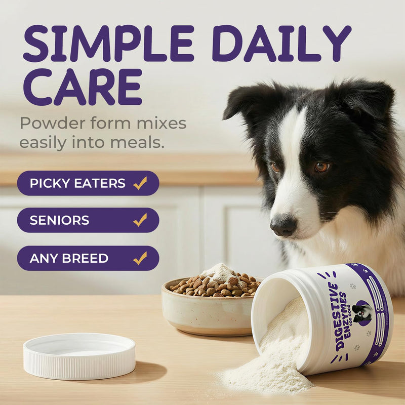 Digestive Enzymes for Dogs, Pancreatic Enzyme Blend to Support Kibble Digestion, Nutrient Absorption & Stool Consistency – Daily Powder for Sensitive Stomachs, 60 g