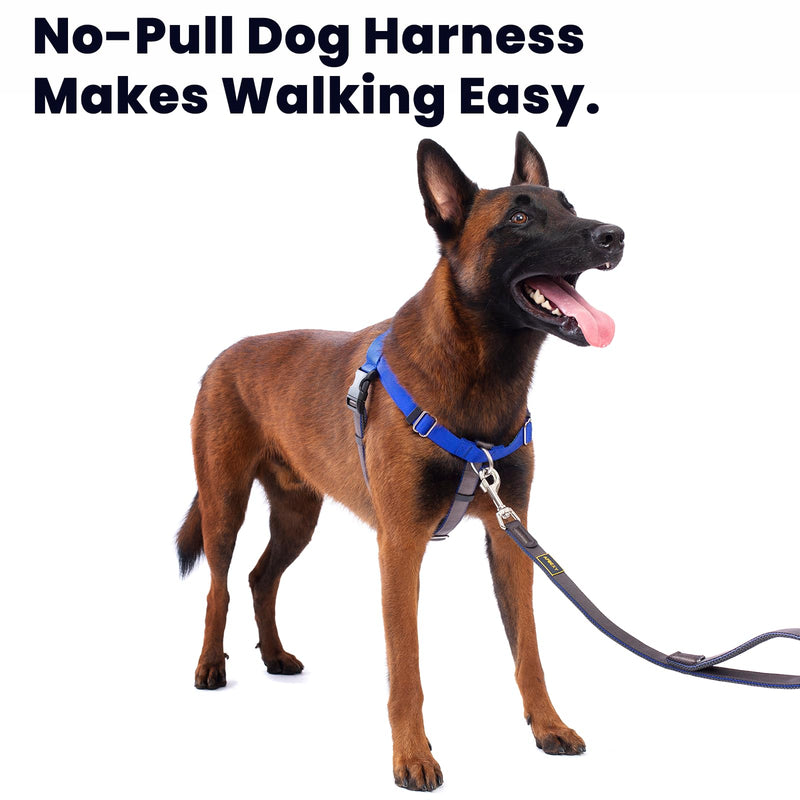 Anti Pull Dog Harness Freedom Walking, Stop Pulling with Two Stainless D-Rings, Comfortable & Lifhtweight, Sewn-in Instructions Labels for Easy Use (Blue, Large) Blue - BeesActive Australia