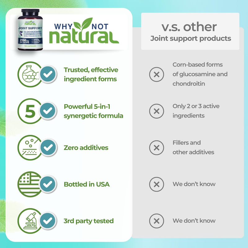 Why Not Natural Glucosamine Chondroitin, MSM, Joint Support Supplements - Knee Pain Joints Health Suppplement - BeesActive Australia