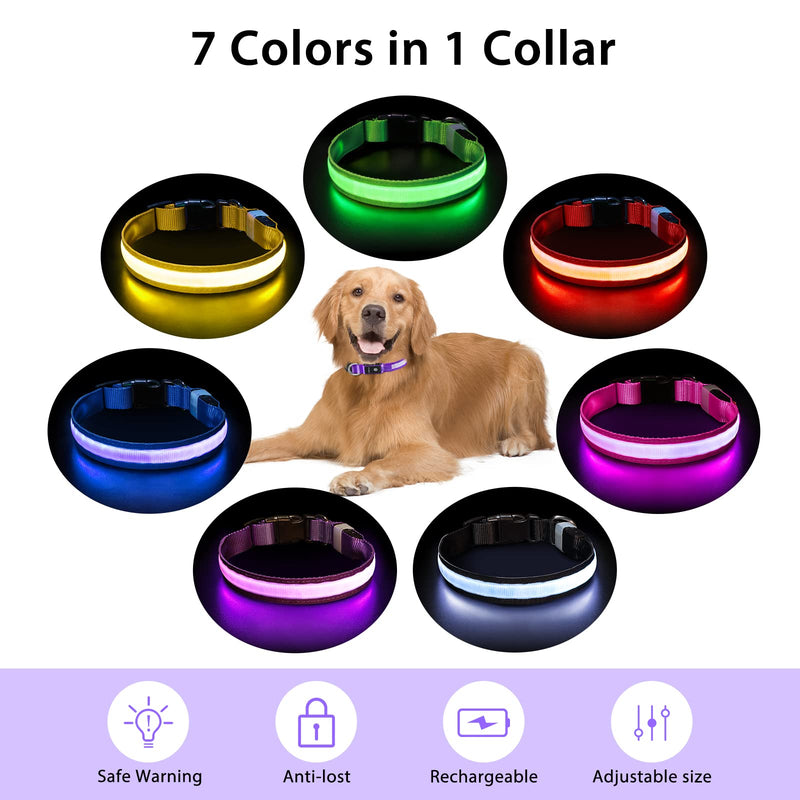 PcEoTllar Light up Dog Collar for Night Walking - LED Dog Collar Light Rechargeable Color Changing, Glow in The Dark Dog Collars Waterproof Glowing Dog Collars for Large Small Medium Dogs Purple M(15 inch-19.7 inch) - BeesActive Australia