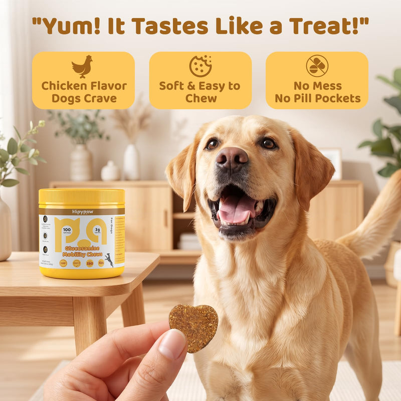 Glucosamine for Dogs, Hip & Joint Support Soft Chews with Chondroitin MSM, Green Lipped Mussel, Omega-3 & Turmeric, Joint Pain Relief,Mobility Support - Senior & Active Dogs, Chicken Flavor,100 Count Yellow