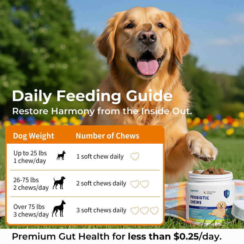 Dog Probiotics Soft Chews, 1.6 Billion CFU Probiotic Chews for Dogs with Pumpkin, Papaya & Digestive Enzymes, Daily Gut Health Support for Gas, Stool Consistency & Sensitive Stomach, 90 Count