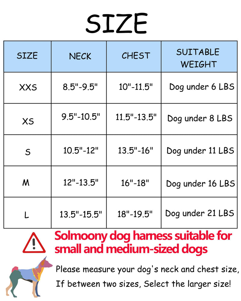 Dog Harness for Small Medium Large Dogs No Pull, Puppy Harness and Leash Set, Puppy Harness for Small Dogs, Step in Harness for Small Dogs, Small Dog Harness, mesh Dog Harness. (Pink, XS) Pink - BeesActive Australia
