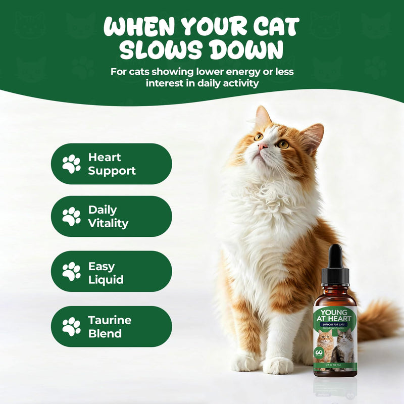 Young Heart Support for Cats – Taurine, L-Carnitine & Hawthorn Liquid Drops for Heart Function & Daily Vitality, Herbal Cardiovascular Support for Cats, Easy Daily Supplement, 2 fl oz