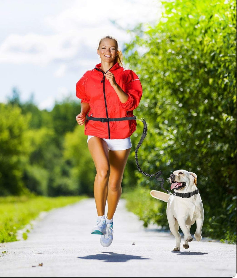 JESPET Hands Free Dog Leash for Running, Walking, Hiking Jogging for Medium & Large Dogs up to 150lbs, Durable Dual Handle Waist Leash with Reflective Bungee and Adjustable Waist (Black) Black - BeesActive Australia