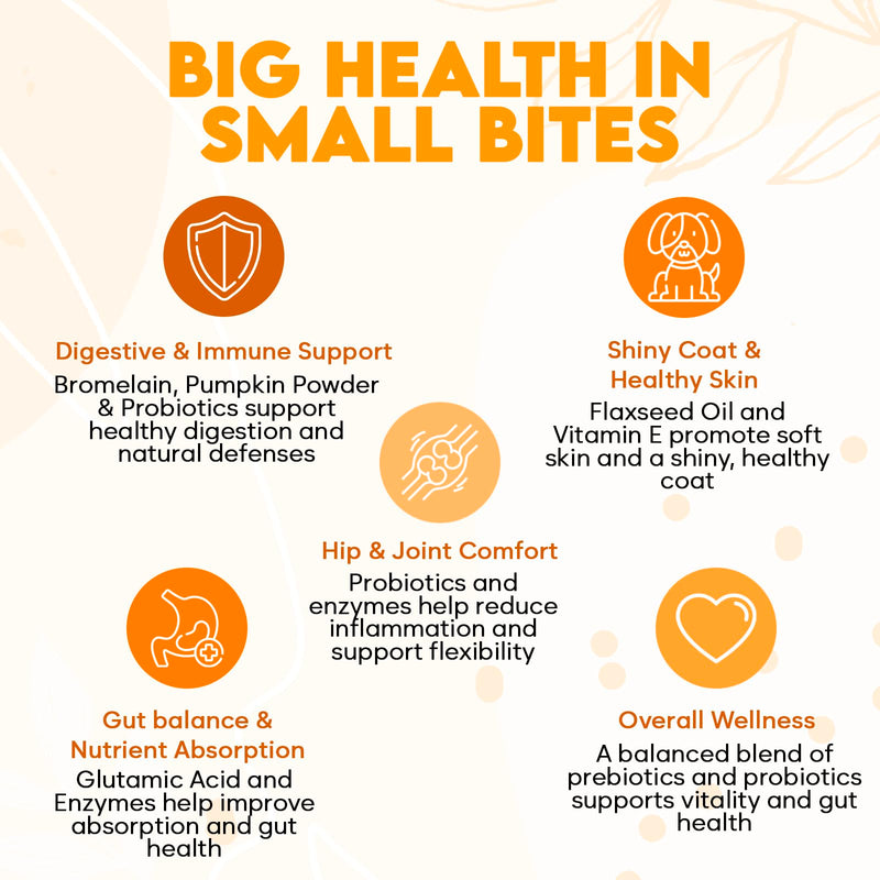 No Poo Chews for Dogs - Coprophagia Eating Deterrent for Dogs - Stop Eating Poop - Packed with Probiotics, Digestive Enzymes & Pumpkin Powder - for All Ages and Breeds