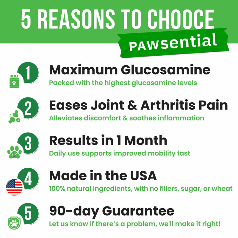 Glucosamine Chondroitin for Dogs - Joint Supplement w/Omega-3 Fish Oil - MSM - Advanced Mobility Chews - Joint Pain Relief - Hip & Joint Care - 120Ct - Made in USA 120 Treats