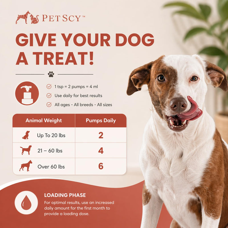 PetScy Omega-3 Fish Oil for Dogs – Supports Healthy Skin, Shiny Coat & Joint Mobility | Pure Wild-Caught Fish Oil with EPA & DHA | Natural Dog Supplement for All Breeds & Sizes – 8 fl oz