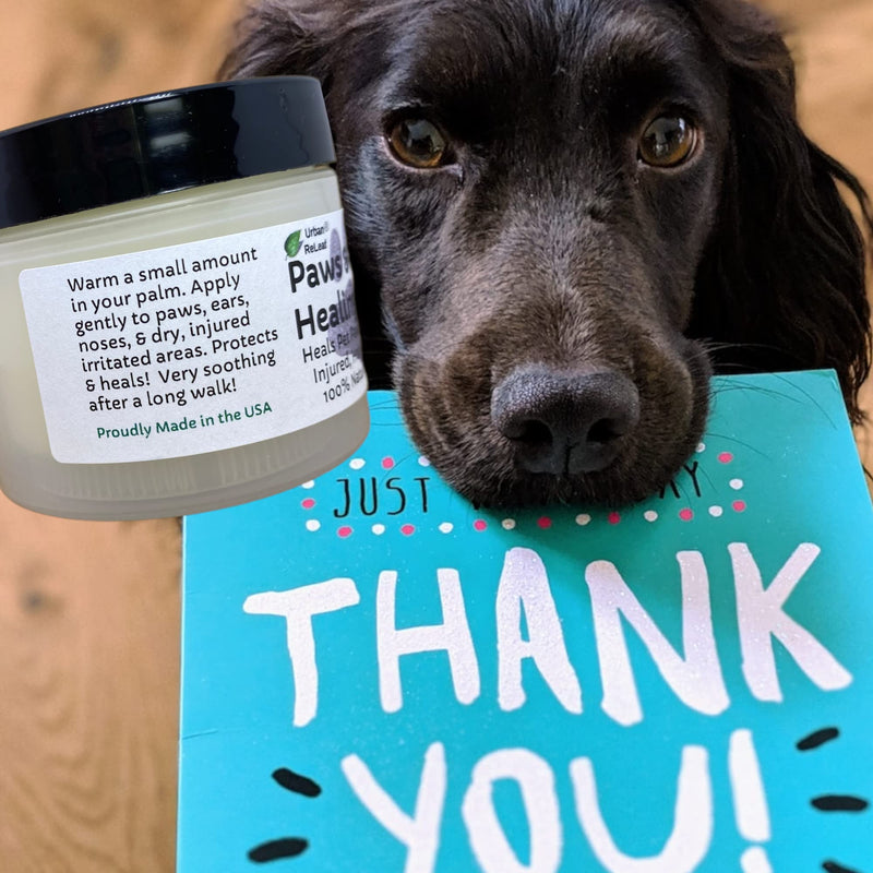 Urban ReLeaf Paws & Pups Silk Dog Salve 2 Ounce (Pack of 1)