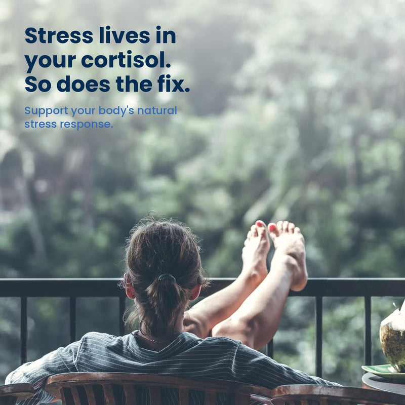 Steady State, Rhodiola L-Theanine Saffron, Cortisol Support, 60ct | Supports calm focus and a healthy stress response. Rhodiola 200mg, L-Theanine 200mg, Saffron 30mg. No stimulants, vegan.