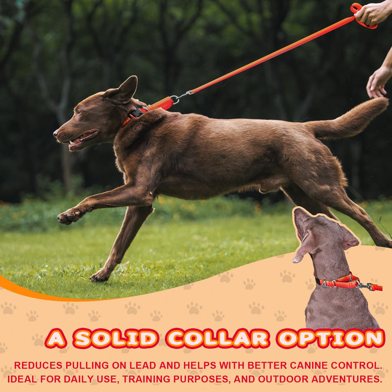 Arblina Martingale Dog Collar, Reflective Pull Stop Collar Dogs for Large Medium and Small Dogs, Nylon Pull Collar with Stop for Dogs Whippets, Greyhounds, Saluki, Orange, S - BeesActive Australia