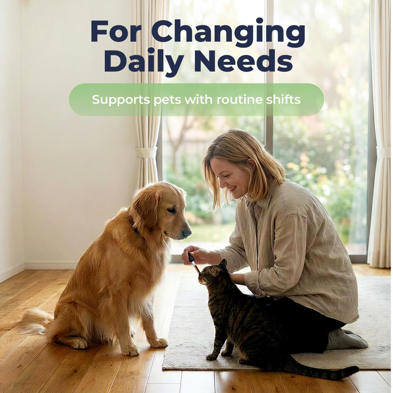Dandelion Extract Drops for Dogs & Cats – Root & Leaf Herbal Support for Liver, Digestion & Fluid Balance, Daily Internal Balance Support, Liquid Pet Supplement, 2 fl oz