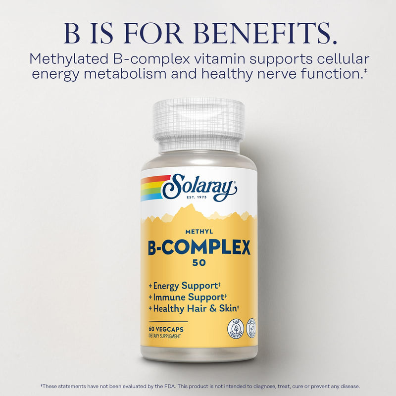 Solaray Methyl B-Complex, B1 & B12, 60 Vegetarian Capsules | Vitamin B Complex, Methylated Vitamins for Women & Men, Nerve and Cellular Energy Support with Methylfolate Unflavored 60 Count (Pack of 1)