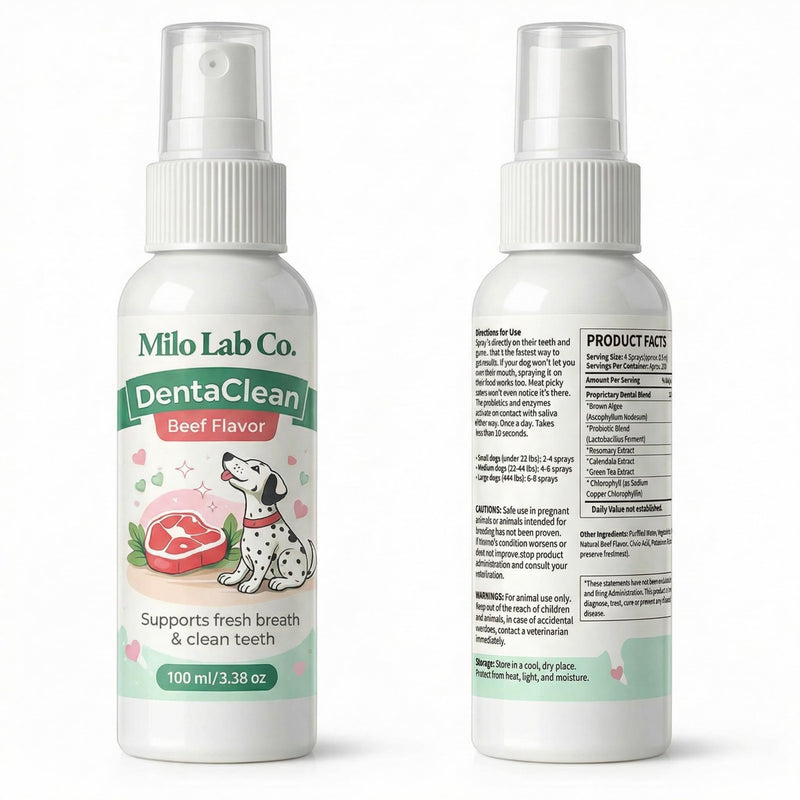 Advanced Dental Spray,Dentaclean Oral Care Pet Dental Spray, Tartar and Plaque Remover, Breath Freshener, Supports Healthy Gums and Clean Teeth, Safe and Ingestible Formula, 100 mL / 3.38 oz