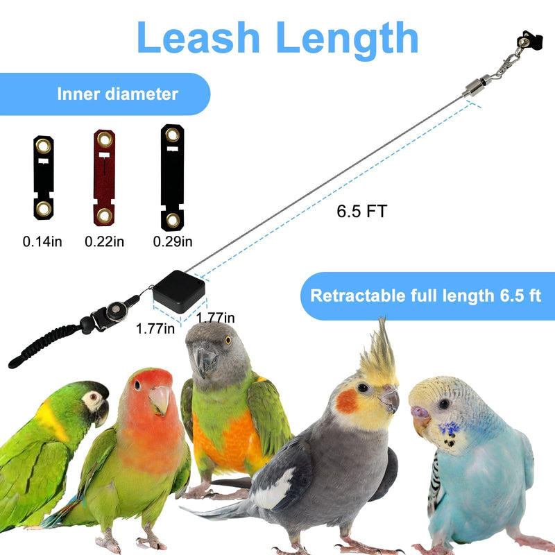 Bird Leash,Bird Harness,Retractable Anti-Bite Parrot Harness,with 3 Different Sizes of Soft Foot Ring,for Birds Outdoor Flight Training,for Budgies,Cockatiels,Psittacula Longicauda,Mini Macaws,6.5Ft - BeesActive Australia