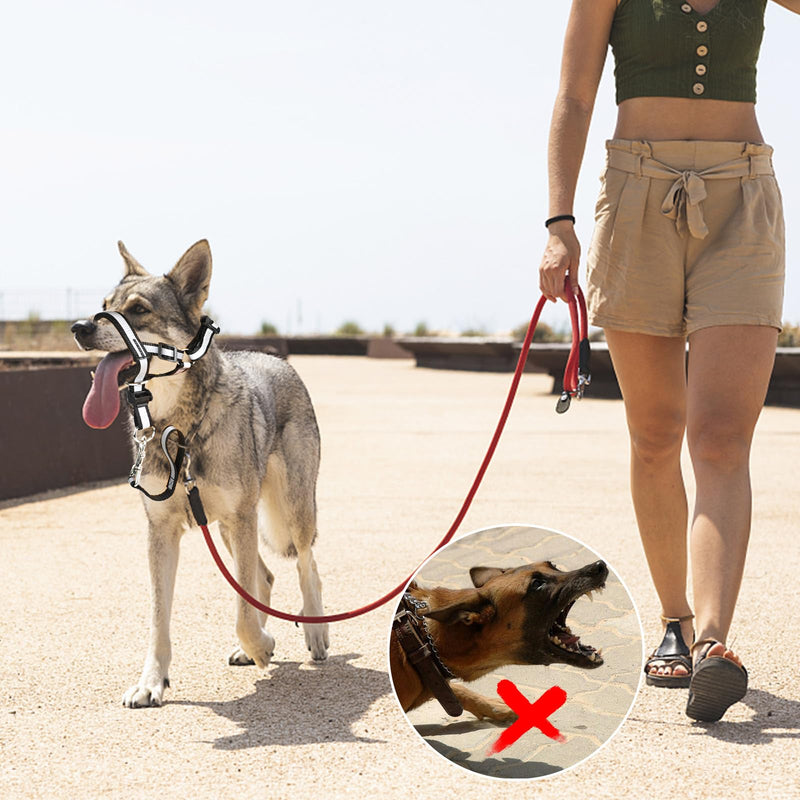 Dog No Pull Head Collar, Dog Gentle Leader Over The Nose Dog Leash Adjustable Dog Head Halter Anti-Pull Muzzle Leash Nose Strap for Dog Easy to Control When Walking (Size M) Size M - BeesActive Australia