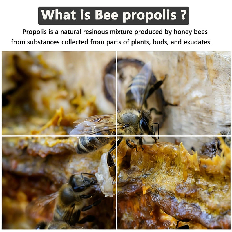 Accretion Bee Propolis for Dogs & Cats, 2 fl oz, Dental Defense & Respiratory Health, Supports Seasonal Immunity & Immune System, Natural Oral Care Supplement
