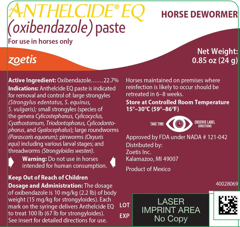Equine Paste (24 gm) - BeesActive Australia