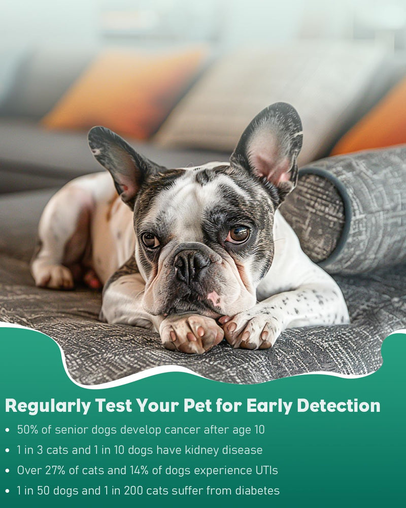 Pawfly 100 Strips Urine Test Strips, UTI Test Kit for 16 Parameters, Pet Urine Testing Strips, Veterinary Urinalysis Test Strips for Ketone, Glucose, Blood, Specific Gravity pH & More 16 in 1 - BeesActive Australia