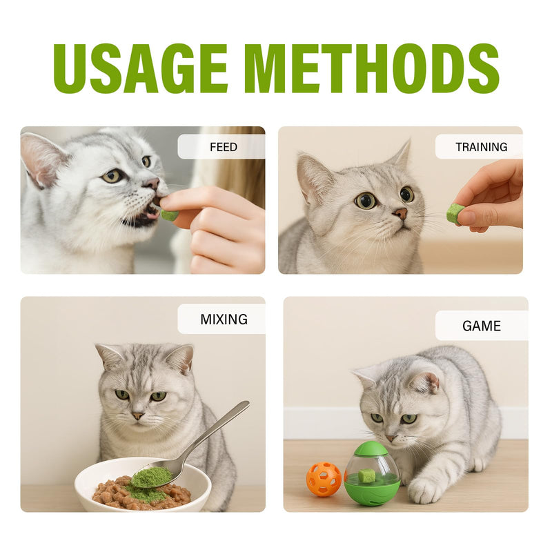 AiRunTech 120g Cat Grass Treats, Cat Grass for Indoor Cats, Fun Daily Snack for Interaction, Pet-Safe Wheatgrass Kit 1 Count (Pack of 1)