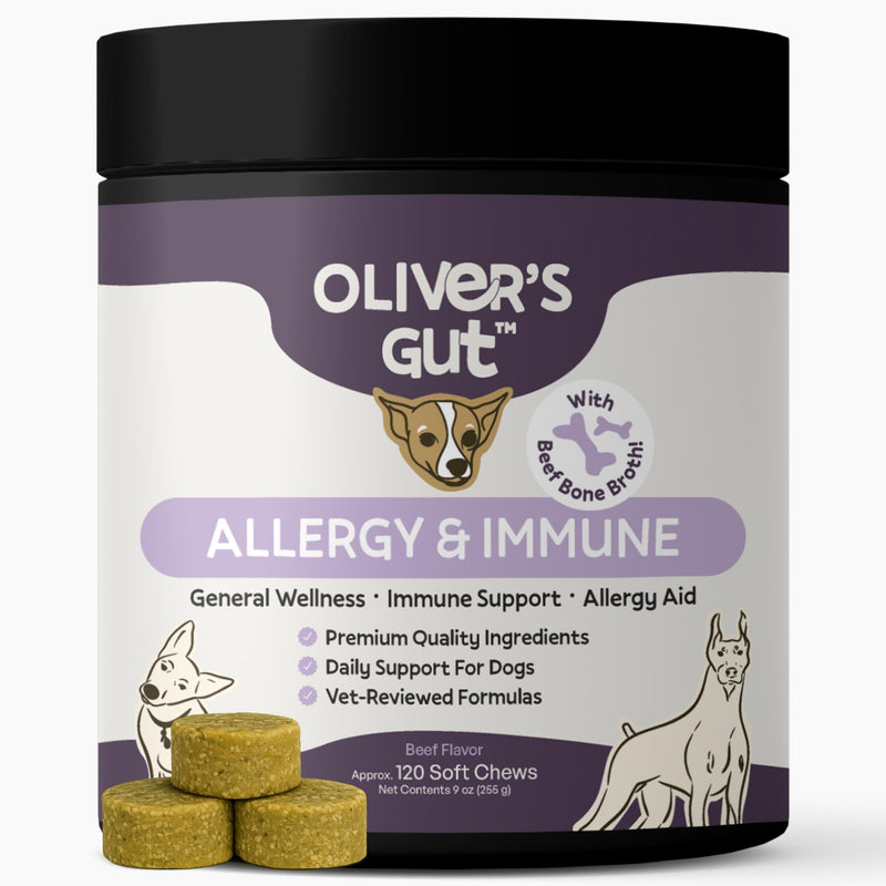 Oliver’s Gut™ Allergy & Immune Chews. Immune Support · Dog Supplement for Itchy Skin and Allergy Aid. Quercetin, Wild Alaskan Salmon Oil, Colostrum, Turmeric. Beef - 120 Count.